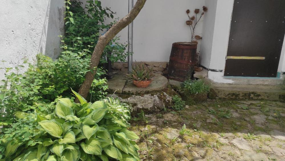 Ubytovani Pod Jilmem Zumberk Bagian luar foto